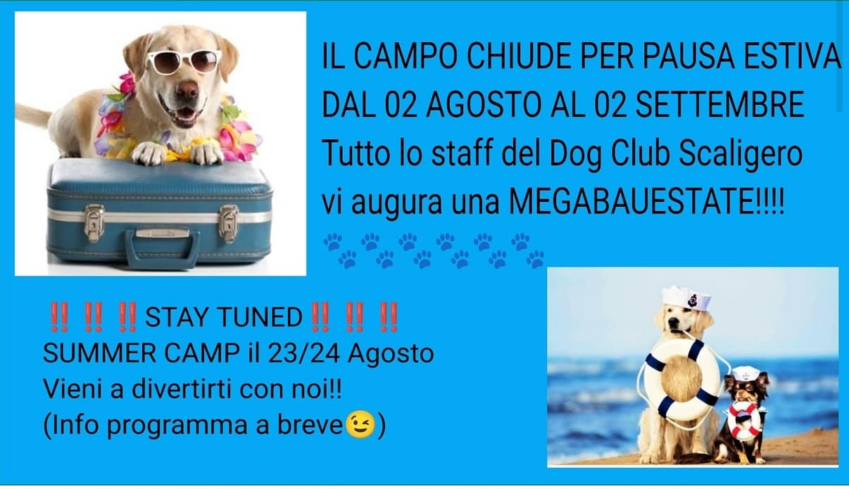News Dog Club